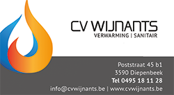 cv Wijnants